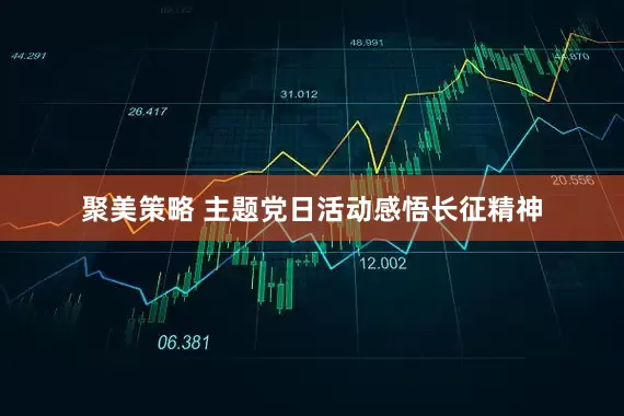 聚美策略 主题党日活动感悟长征精神