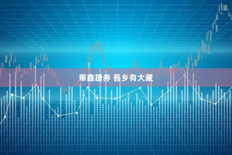 華鑫證券 吾乡有大藏